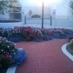 "Park" Walkway in Front of Communist China Embassy