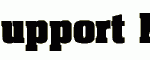 China-Support-Network-logo