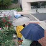 Falun Dafa Protesters Continue in the Rain at the DC PRC Embassy
