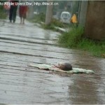Communist China: Baby Abandoned in the Street