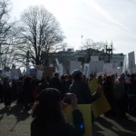 Copts Marching in front of the White House