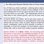 Nazi Stormfront Organization Eulogizes White Supremacist Terrorist Von Brunn (part 3)
