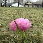 Racist Hate-Filled Easter Egg on Detroit Lawn (Photo: ClickonDetroit)