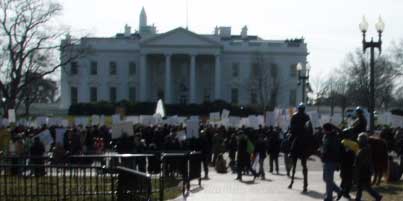 January 21, 2010 - Over 1500 rally in front of the White House in the aftermath of the Coptic Christmas eve killings of Copts in Egypt 