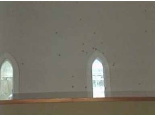Bullets fired into Miami mosque under construction
